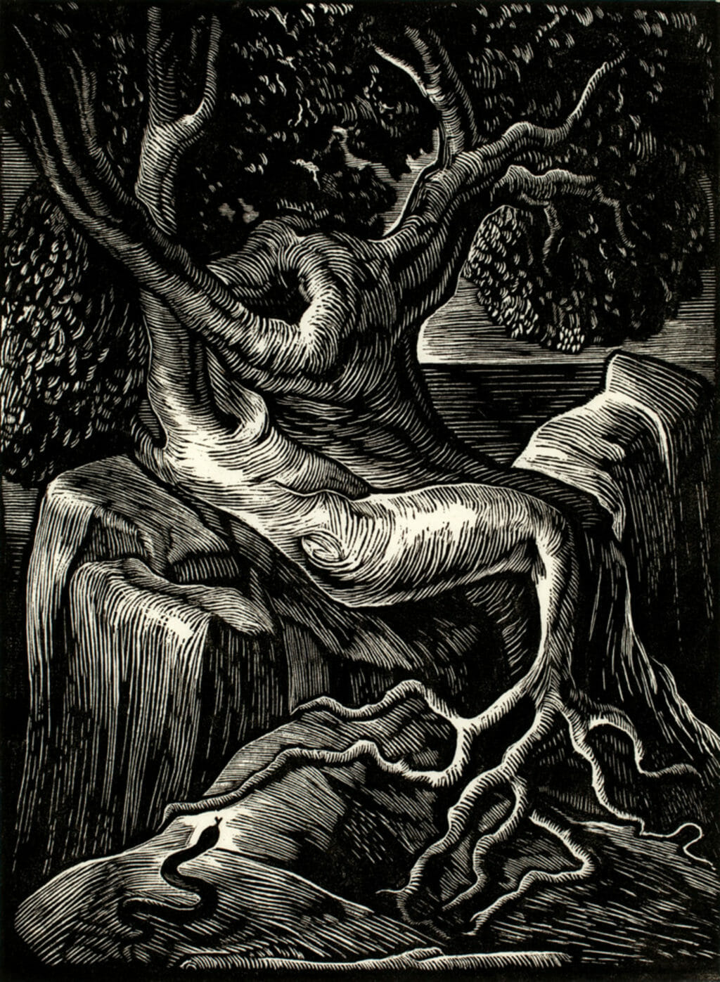 Árboles / Trees. Artist: Abelardo Ávila. Date: undated / sin fecha. Medium: grabado en madera de pie sobre papel / wood engraving on paper.