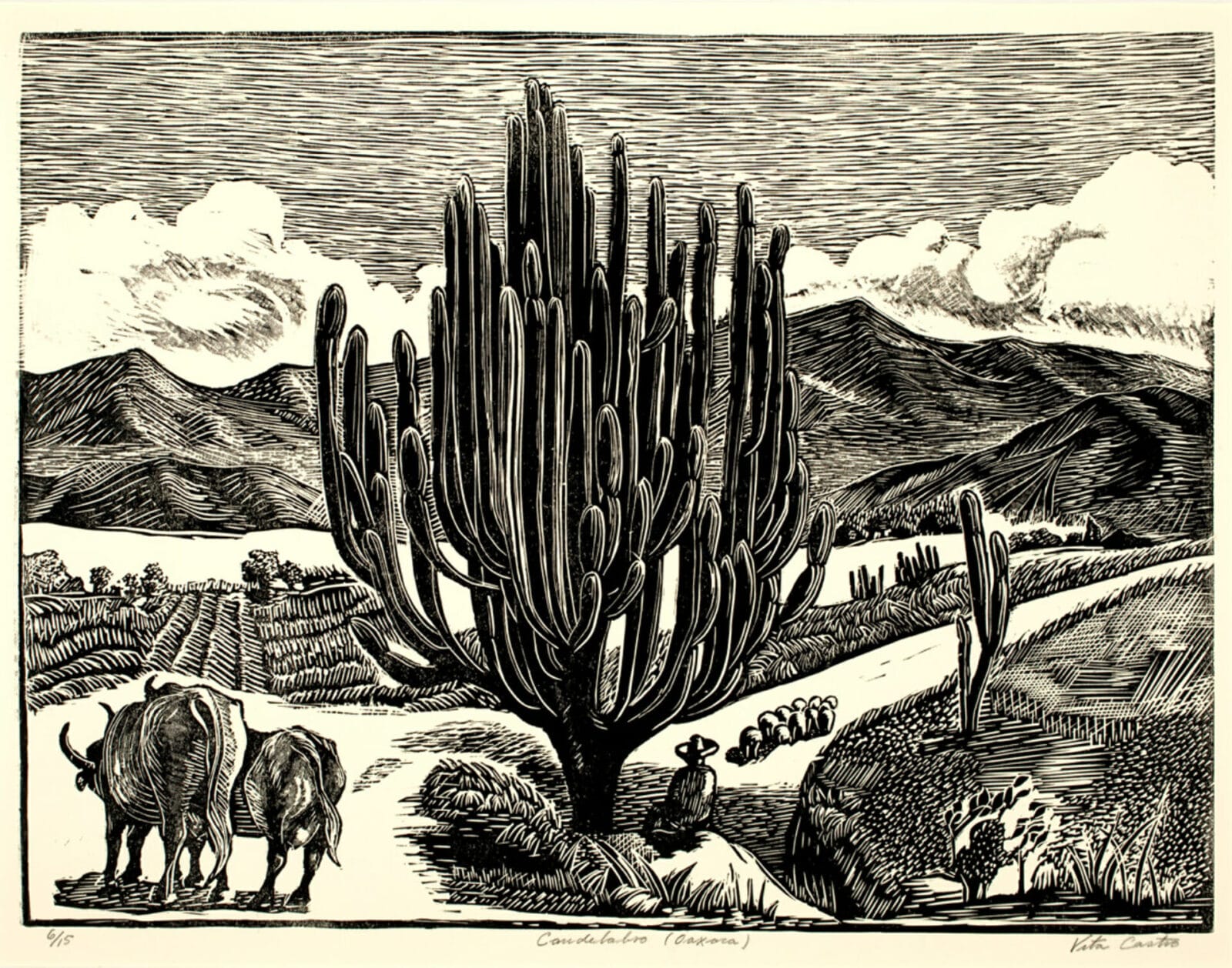 Candelabro (Oaxaca). Artist: Vita Castro. Date: sin fecha / undated. Medium: grabado en linóleo sobre papel / linocut on paper.