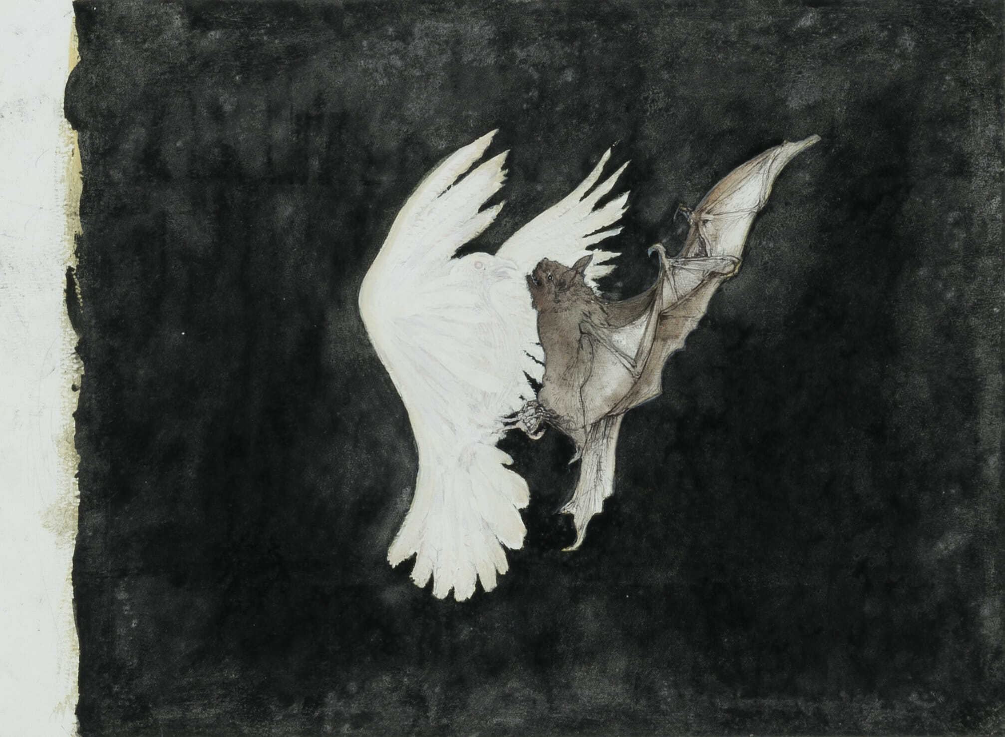 Illustration of a dove and a bat