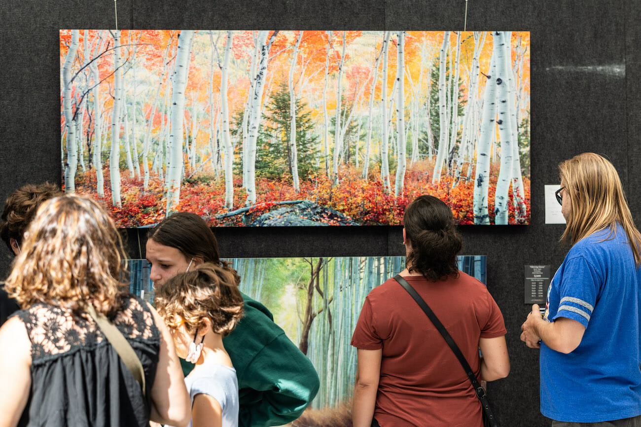 Visitor looking at artwork hanging in an artist's booth