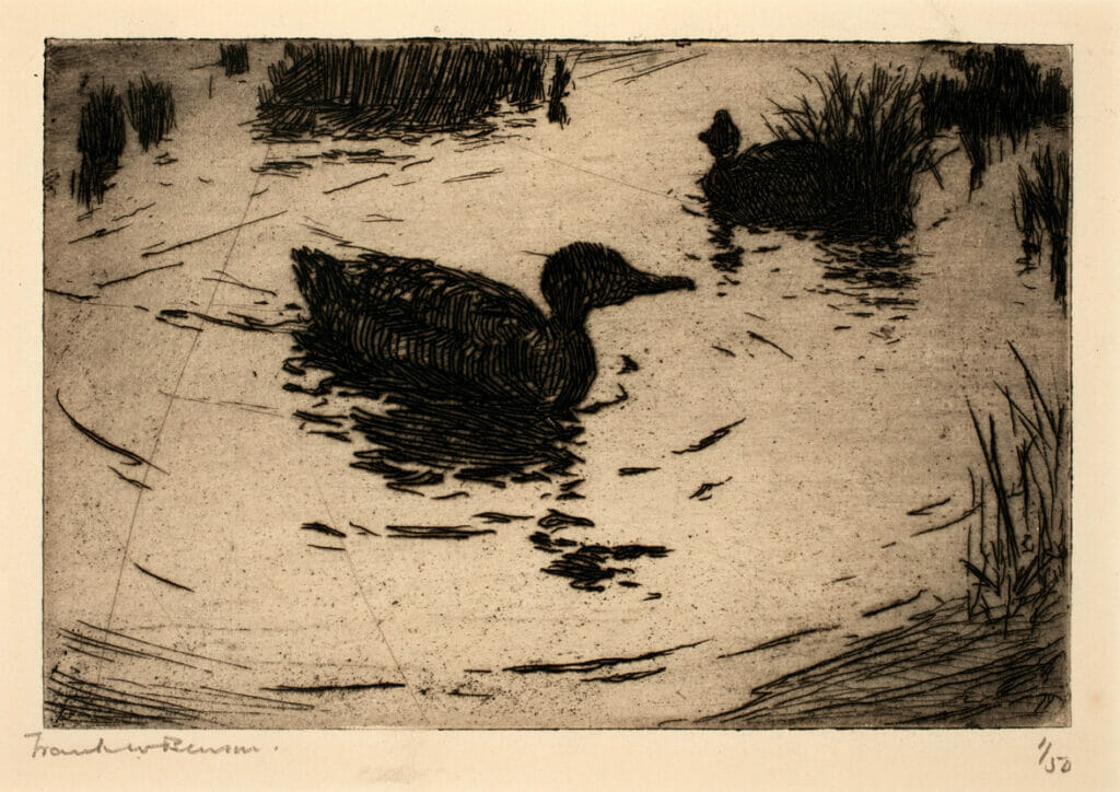 Ducks and Ripples. Artist: Frank W. Benson. Medium: etching.