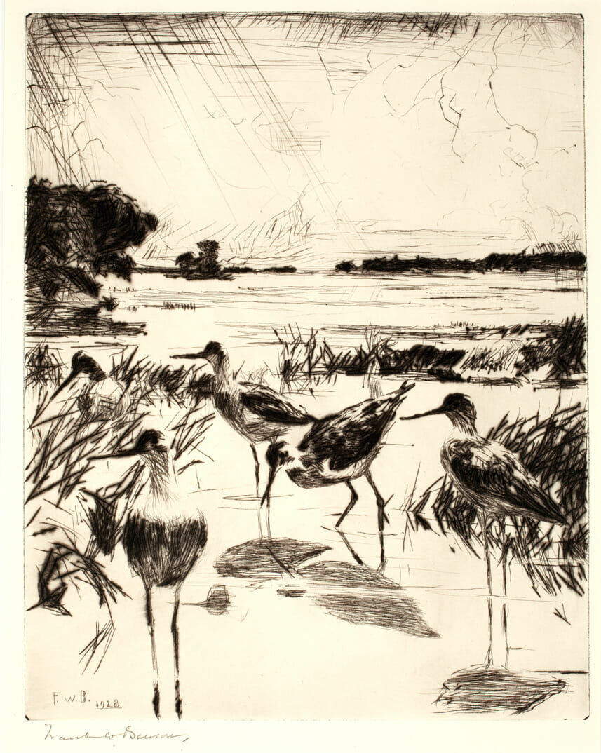 Yellowlegs in Sunlight. Artist: Frank W. Benson. Date: 1928. Medium: etching.