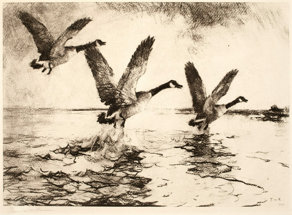 Three Geese Alighting. Artist: Frank W. Benson. Date: 1926. Medium: soft gound etching.