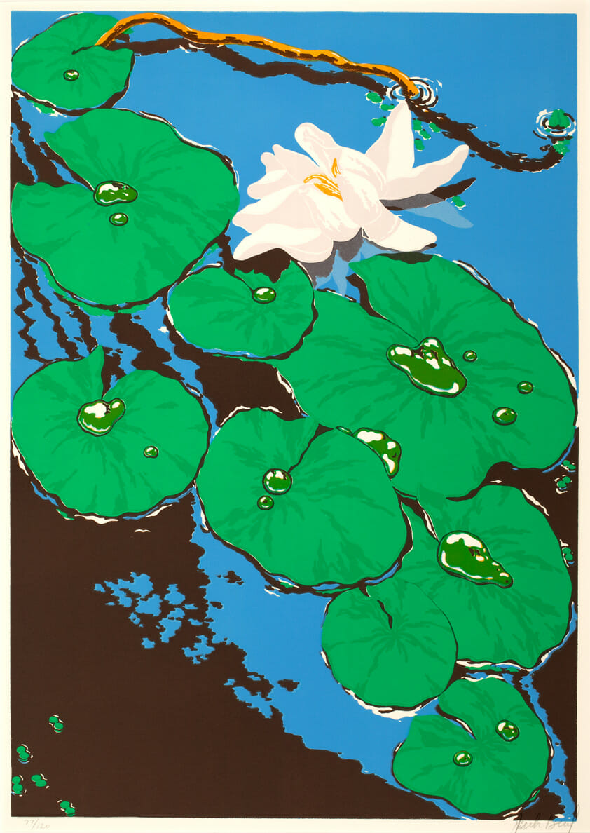 Pond Lilies. Artist: Jack Beal. Date: 1971. Medium: lithograph.