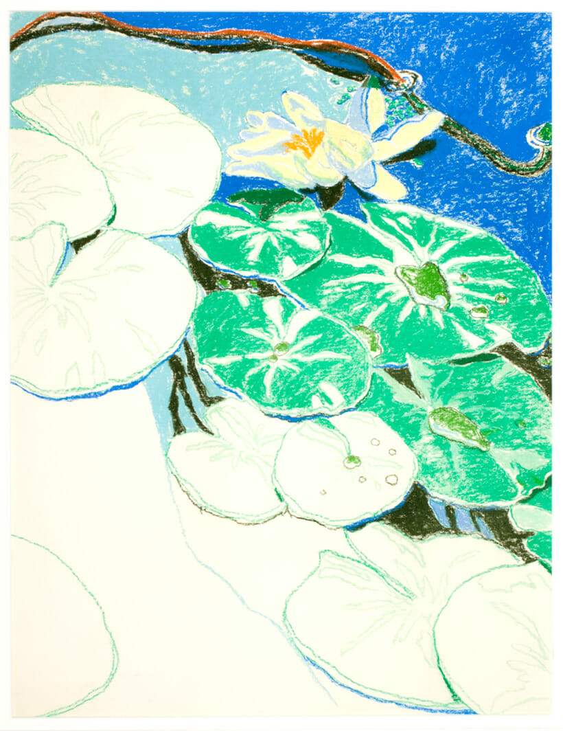 Pond Lilies. Artist: Jack Beal. Date: 1971. Medium: pastel.