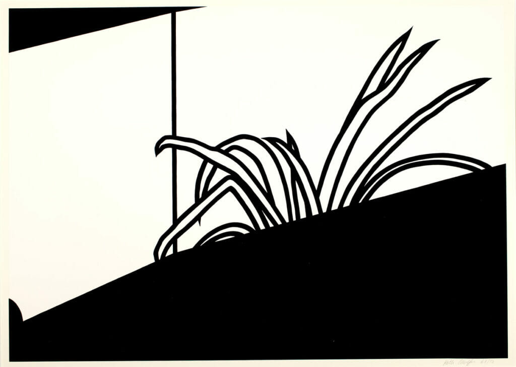 Spider Plant. Artist: Patrick Caulfield. Date: 1973. Medium: screenprint.