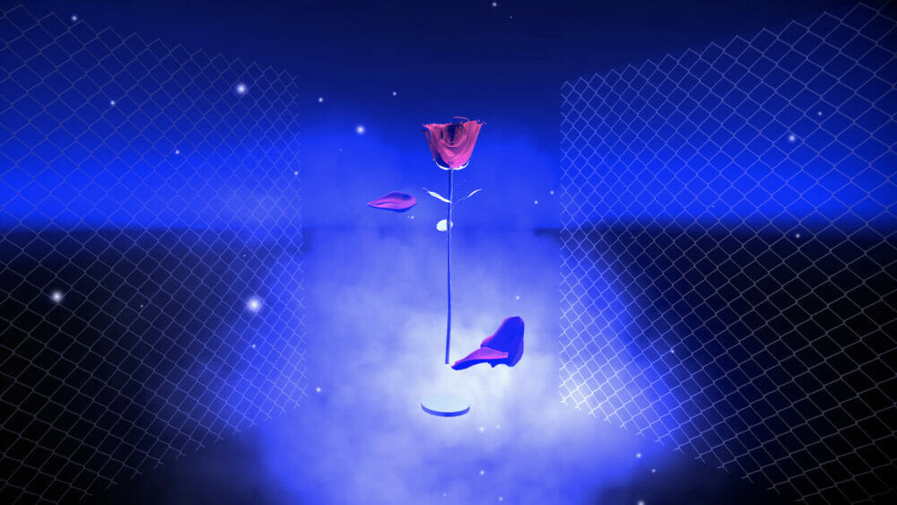 screenshot from a unity game showing a glowing rose surrounded by fences, fog, and rose petals