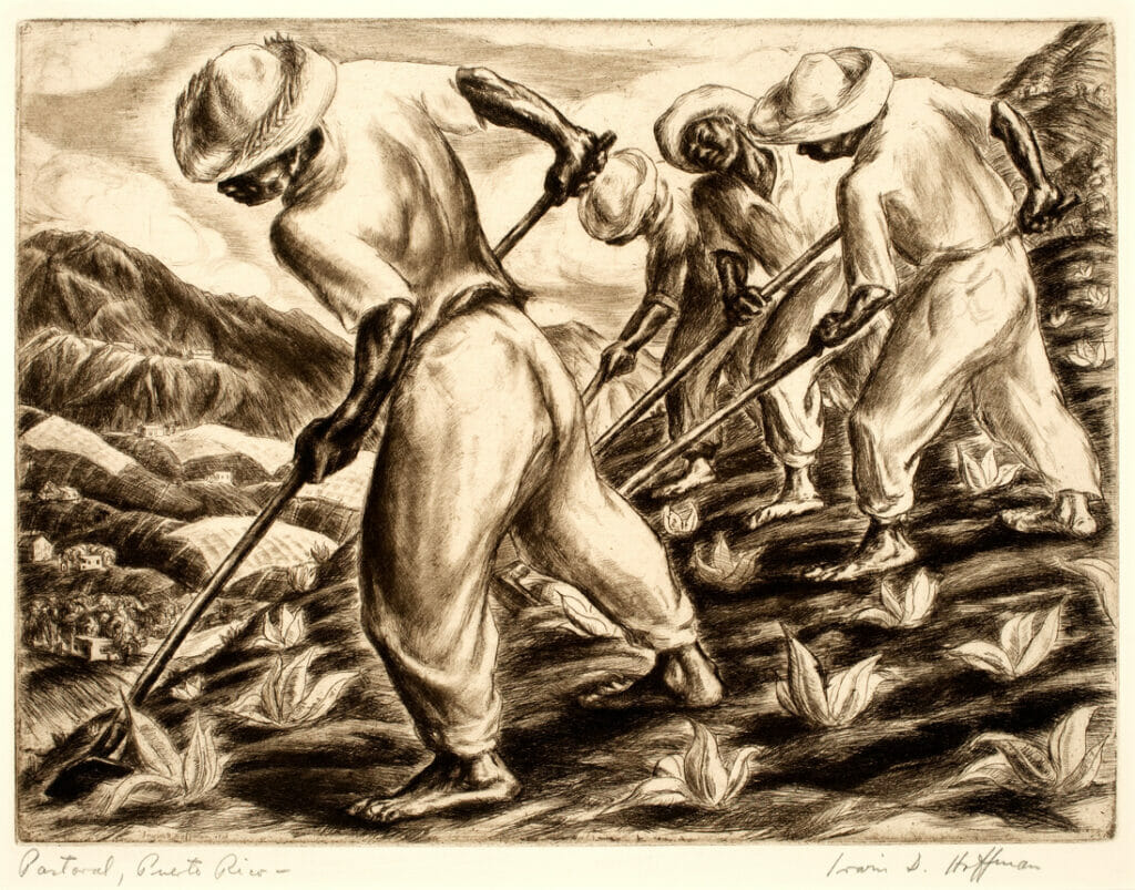 Pastoral – Puerto Rico. Artist: Irwin D. Hoffman. Date: 1938. Medium: etching.