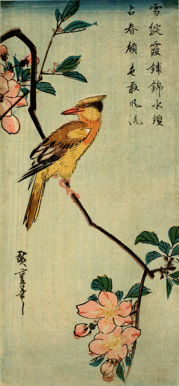 Crested Bird in Peach Tree. Artist: Utagawa Hiroshige. Medium: woodblock.