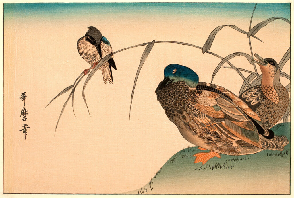 Ducks and Kingfisher. Artist: Kitagawa Utamaro. Medium: woodblock.