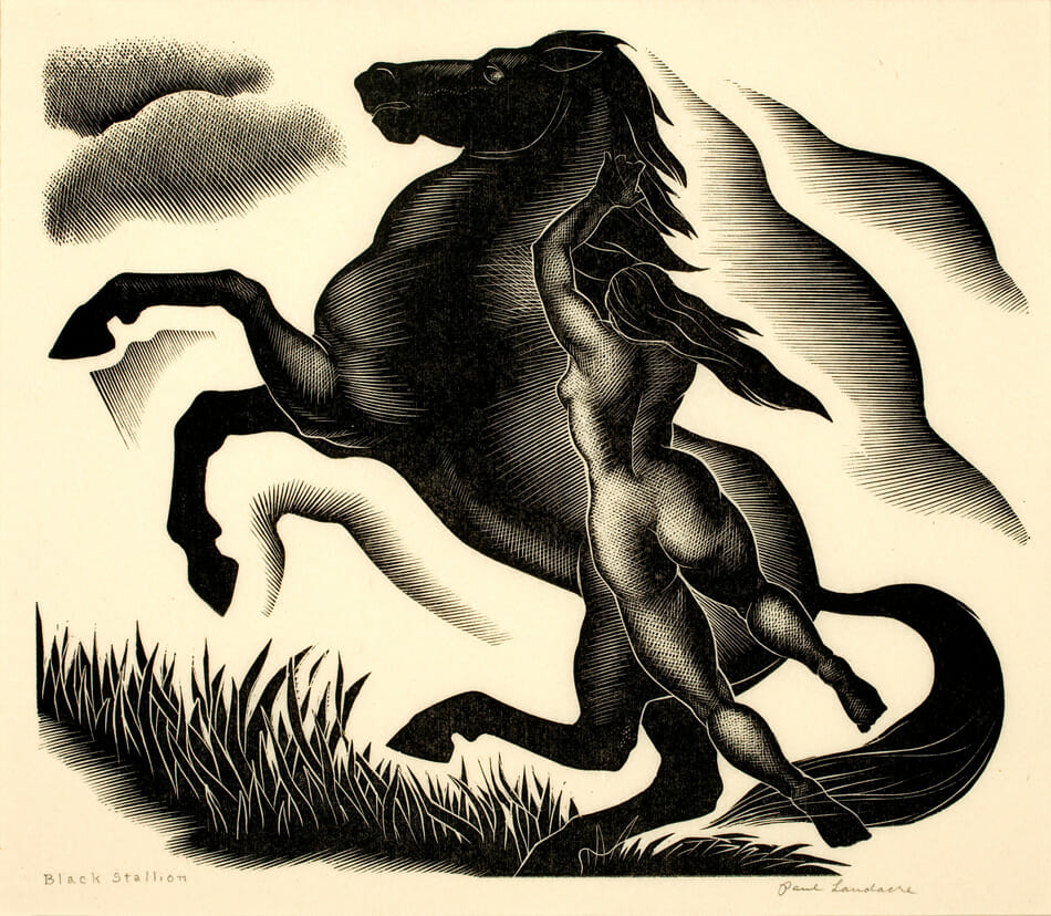 Black Stallion. Artist: Paul Landacre. Medium: wood engraving.