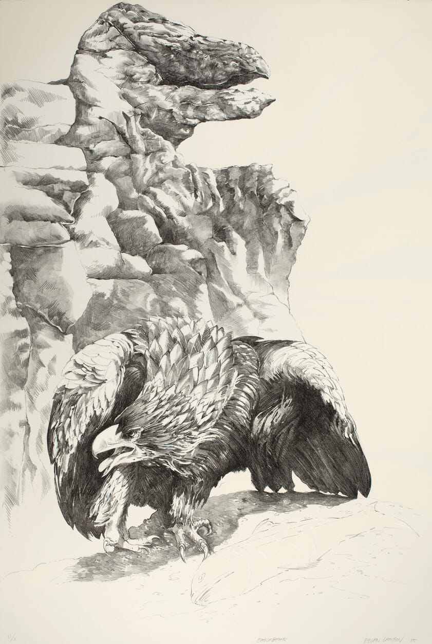 Eagle Beak. Artist: Ellen Lanyon. Date: 1985. Medium: lithograph.