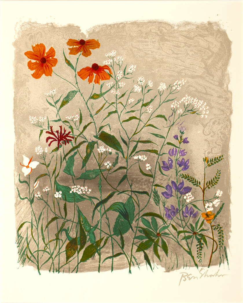 the gestures of the little flowers. Artist: Ben Shahn. Date: 1968. Medium: lithograph.