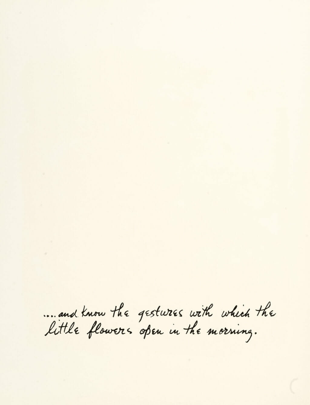 the gestures of the little flowers (text). Artist: Ben Shahn. Date: 1968. Medium: lithograph.