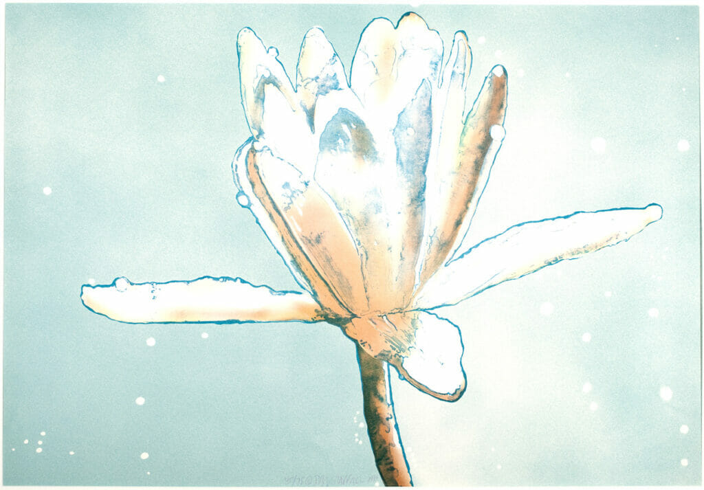 Luminous Lily Dream. Artist: Joseph Raffael. Date: 1980. Medium: lithograph.