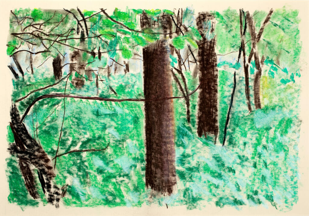 Appalachian Trail. Artist: David Staton. Date: 1979. Medium: pastel.