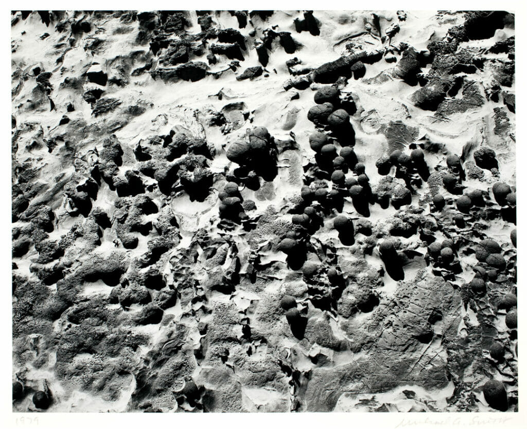 Shore Acres, Oregon. Artist: Michael A. Smith. Date: 1979. Medium: gelatin silver print.