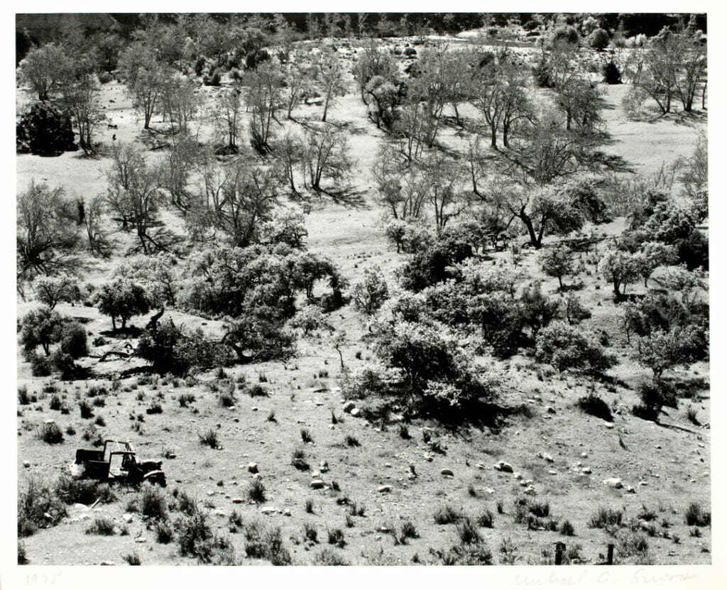 Carmel Valley, California. Artist: Michael A. Smith. Date: 1975. Medium: gelatin silver print.