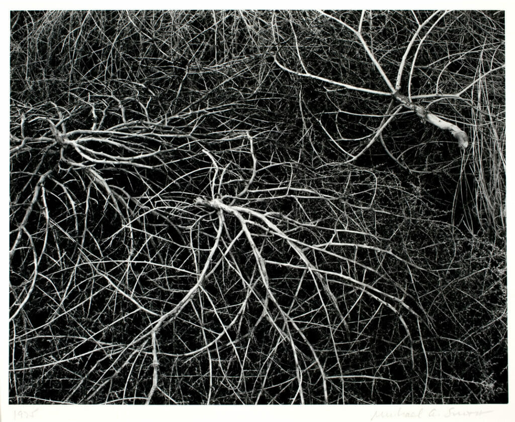 Near Albuquerque, New Mexico. Artist: Michael A. Smith. Date: 1975. Medium: gelatin silver print.