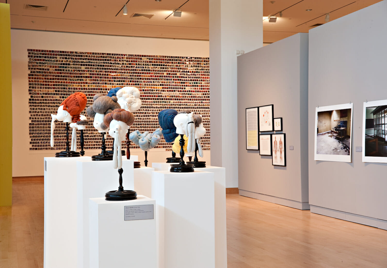 installation view of the 2010 Wisconsin Triennial featuring various sculptures and objects as well as artwork hanging on walls