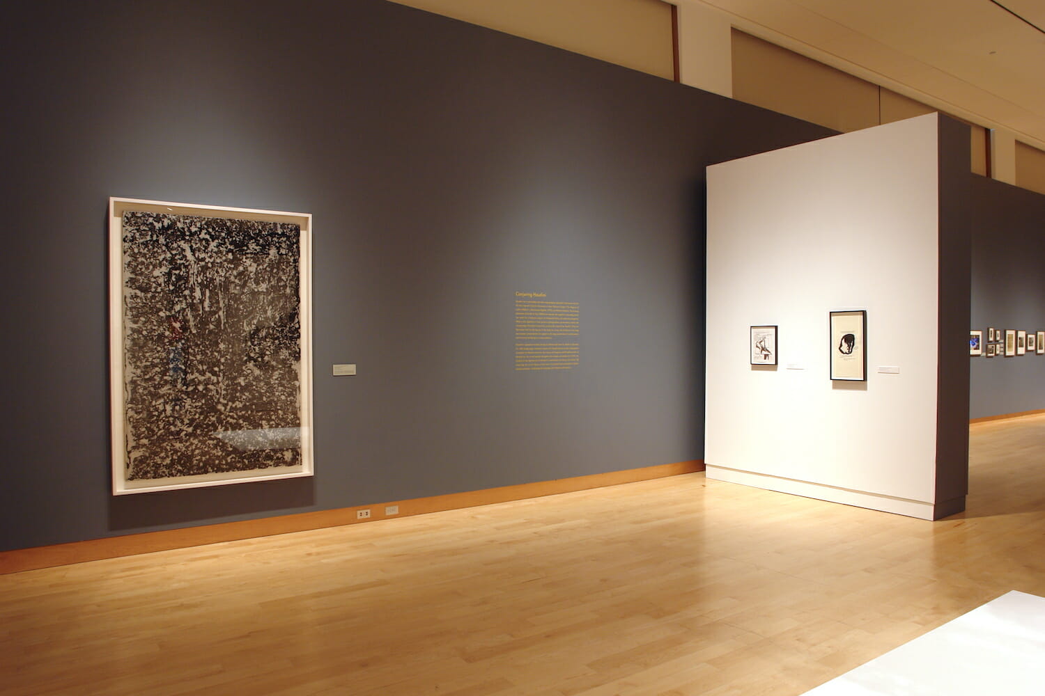 installation view of Houdini: Art and Magic featuring framed artworks