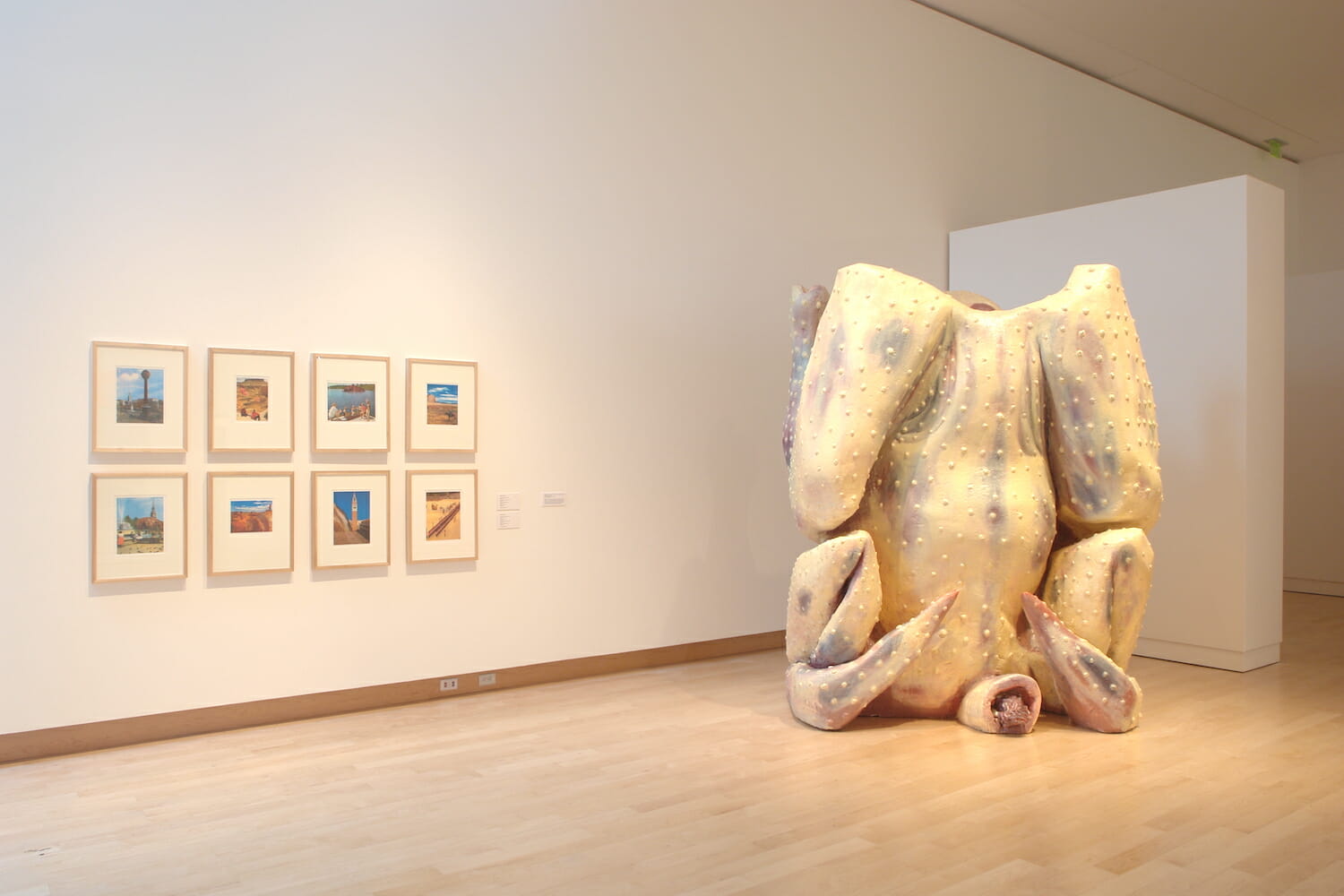 installation view of the 2007 Wisconsin Triennial, featuring two rows of framed artworks on the wall and a headless raw chicken sculpture