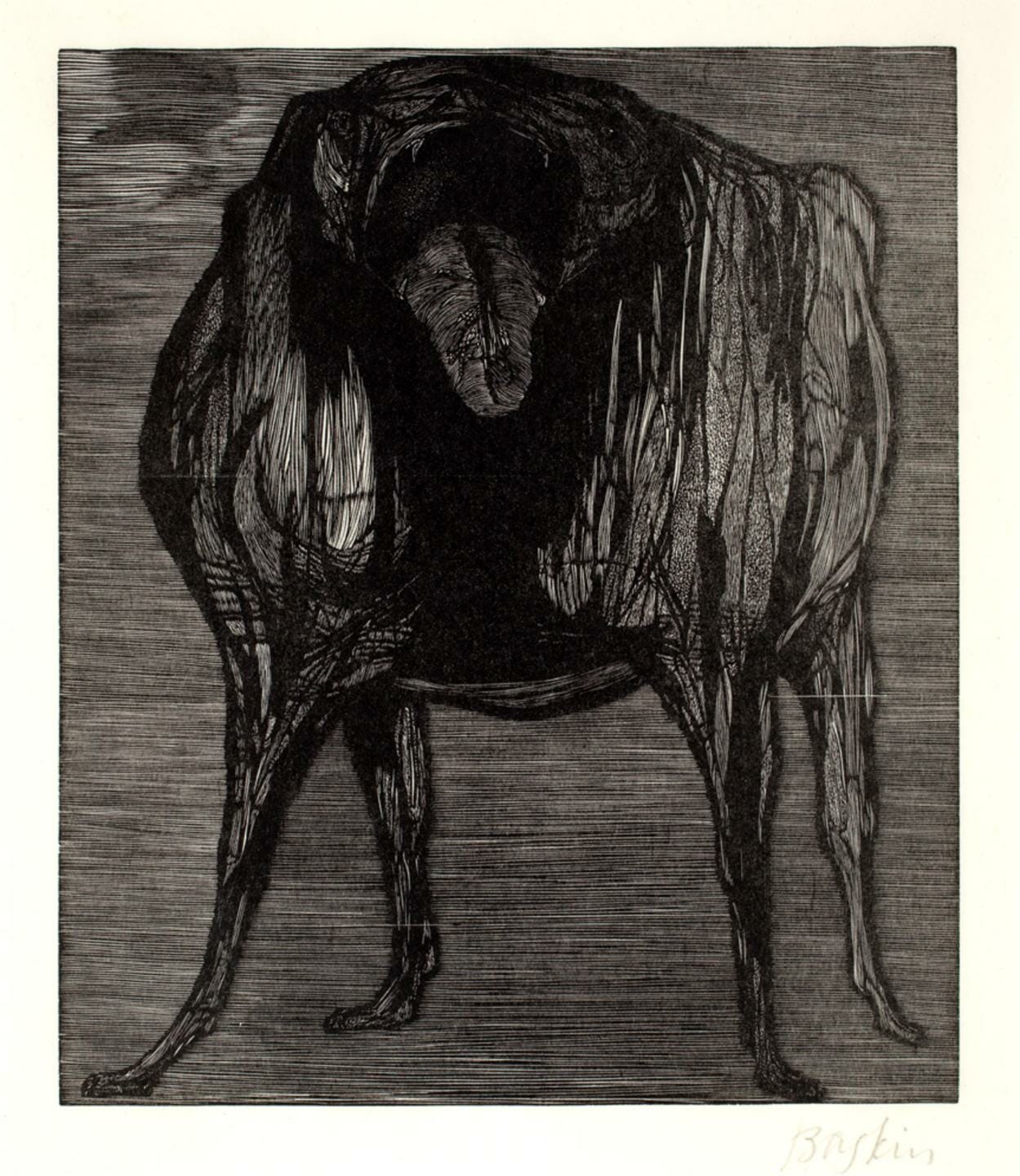 wood engraving of a dog or a bull