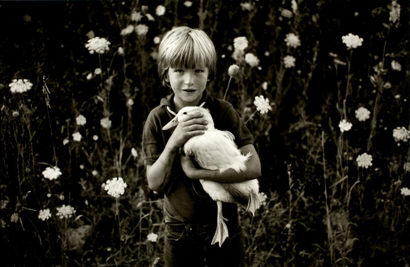 a boy holding a duck against tall grass or foliage