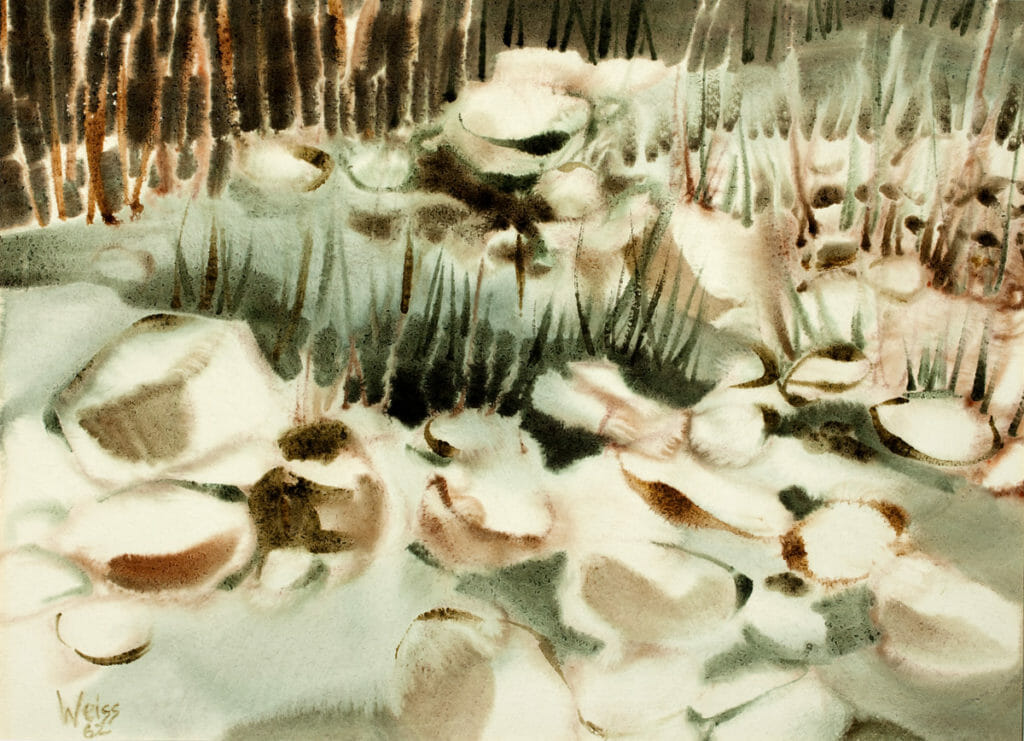 Stones and Grass. Artist: Lee Weiss. Date: 1962. Medium: watercolor.