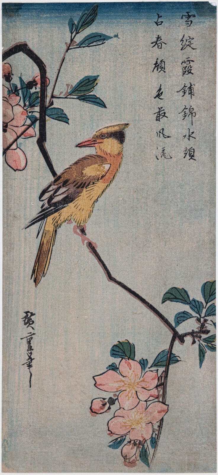 Crested Bird in Peach Tree. Artist: Utagawa Hiroshige. Medium: woodblock.