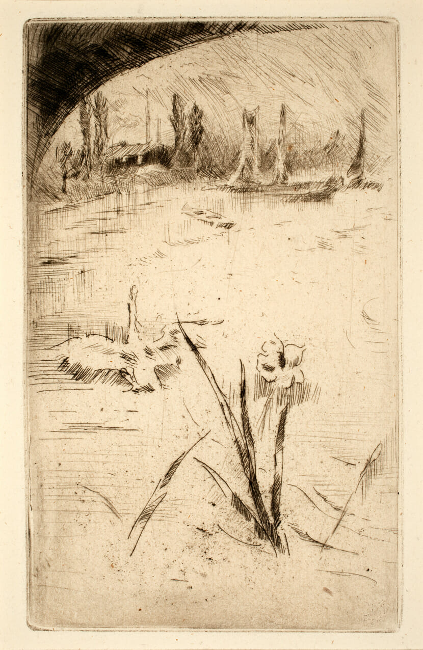 The Swan and the Iris. Artist: James Abbott McNeill Whistler. Medium: etching.