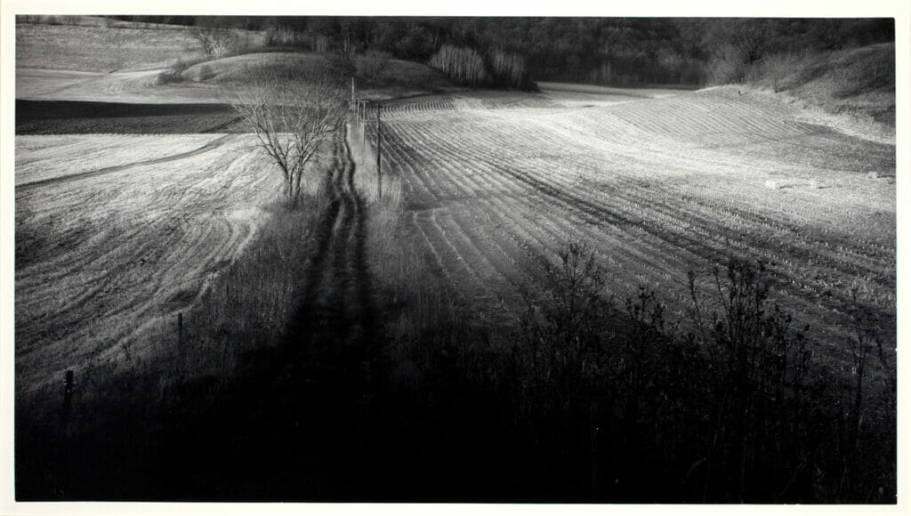 Field Road, Early December. Artist: Paul Vanderbilt. Medium: gelatin silver print.