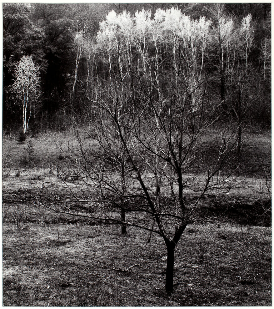 Landscape. Artist: Paul Vanderbilt. Medium: gelatin silver print.