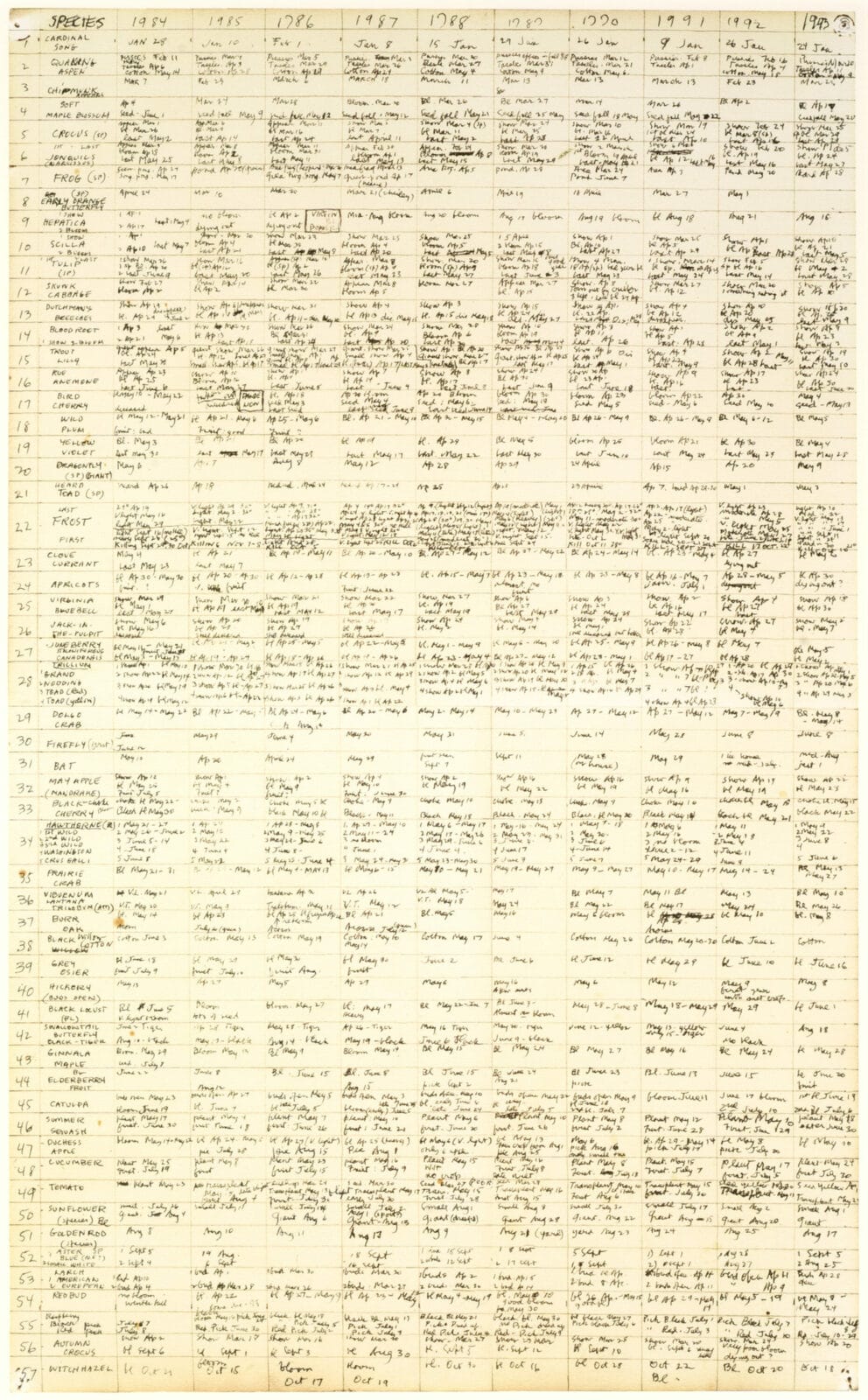 list of plants. Artist: John Wilde. Date: no date. Medium: offset lithograph.