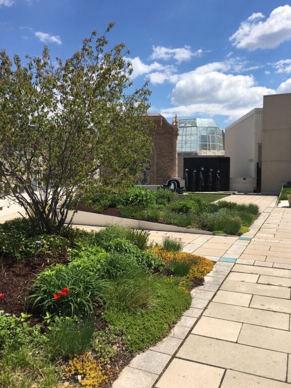 image of the museum's rooftop sculpture garden