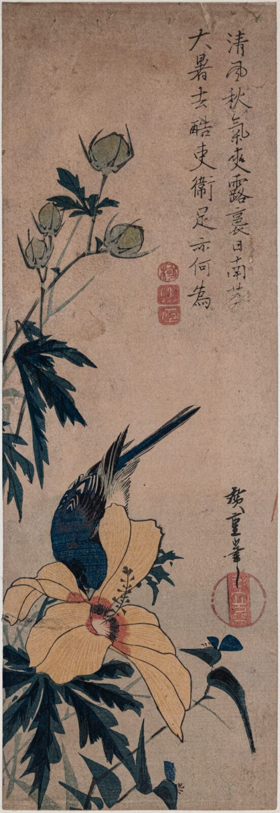 Bluebird on a Hollyhock. Artist: Utagawa Hiroshige. Medium: woodblock.