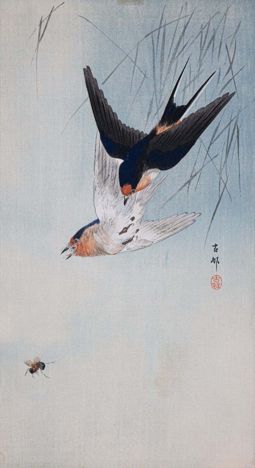 Two Barn Swallows and Insect. Artist: Ohara Koson. Medium: woodblock.