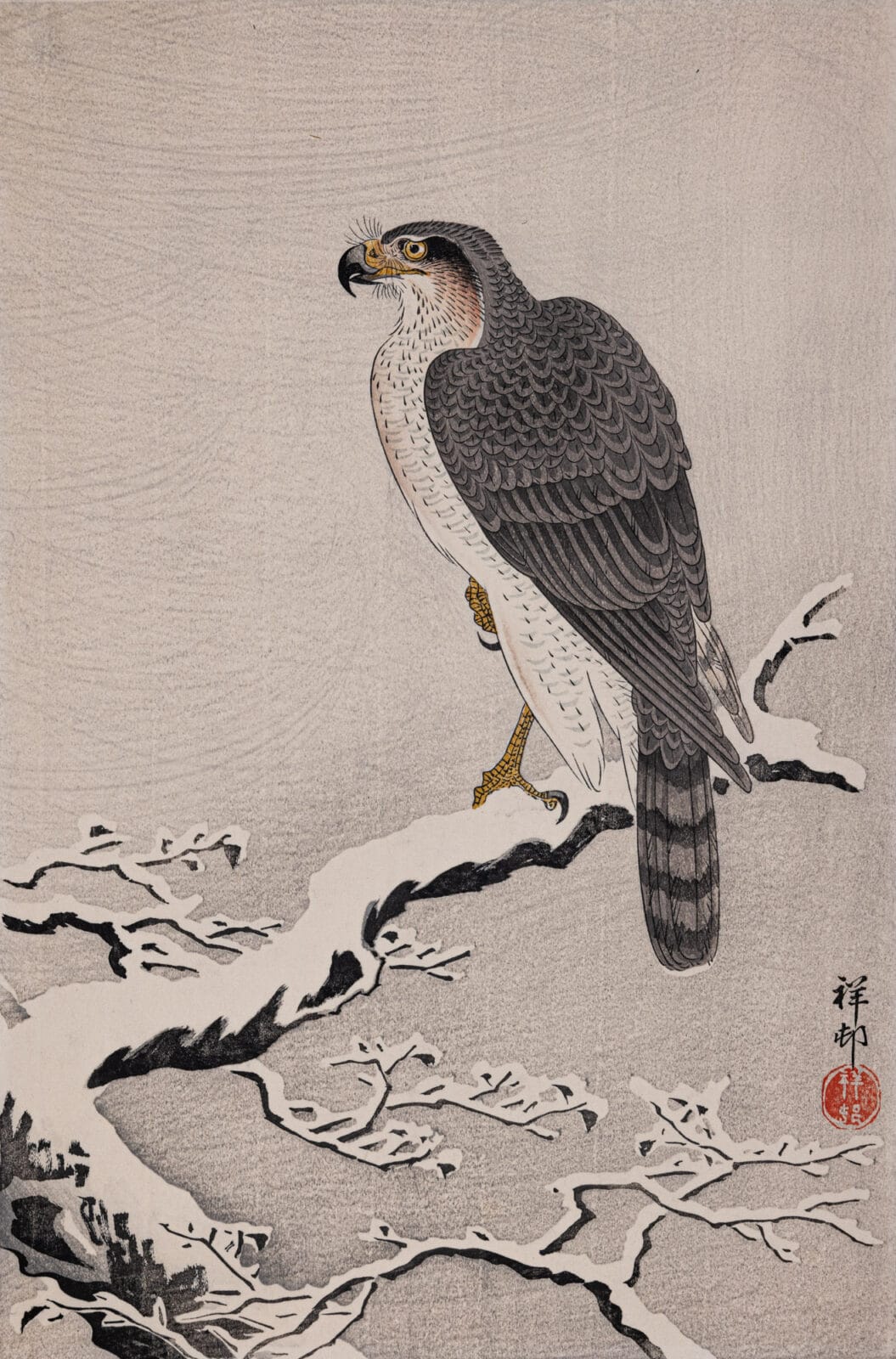 Hawk in Snow. Artist: Ohara Koson. Date: 1926. Medium: woodblock.