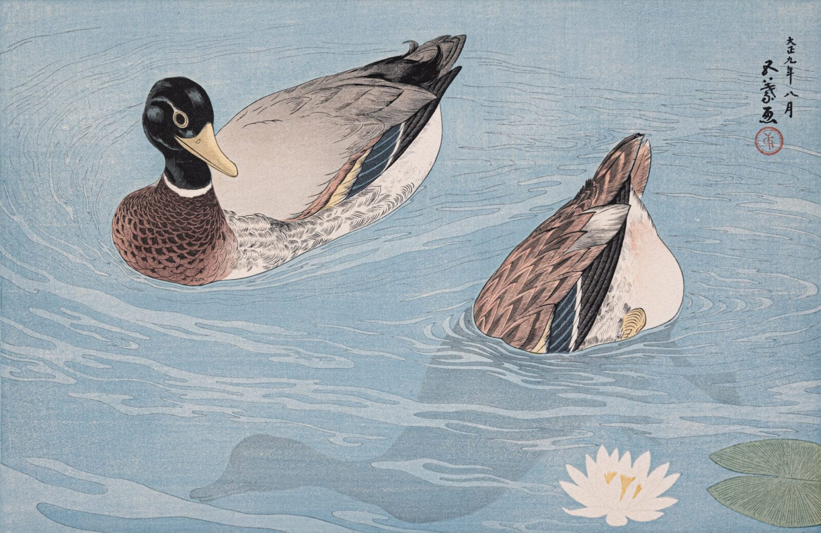 Mallard Ducks. Artist: Hashiguchi Goyō. Date: 1920. Medium: woodblock.