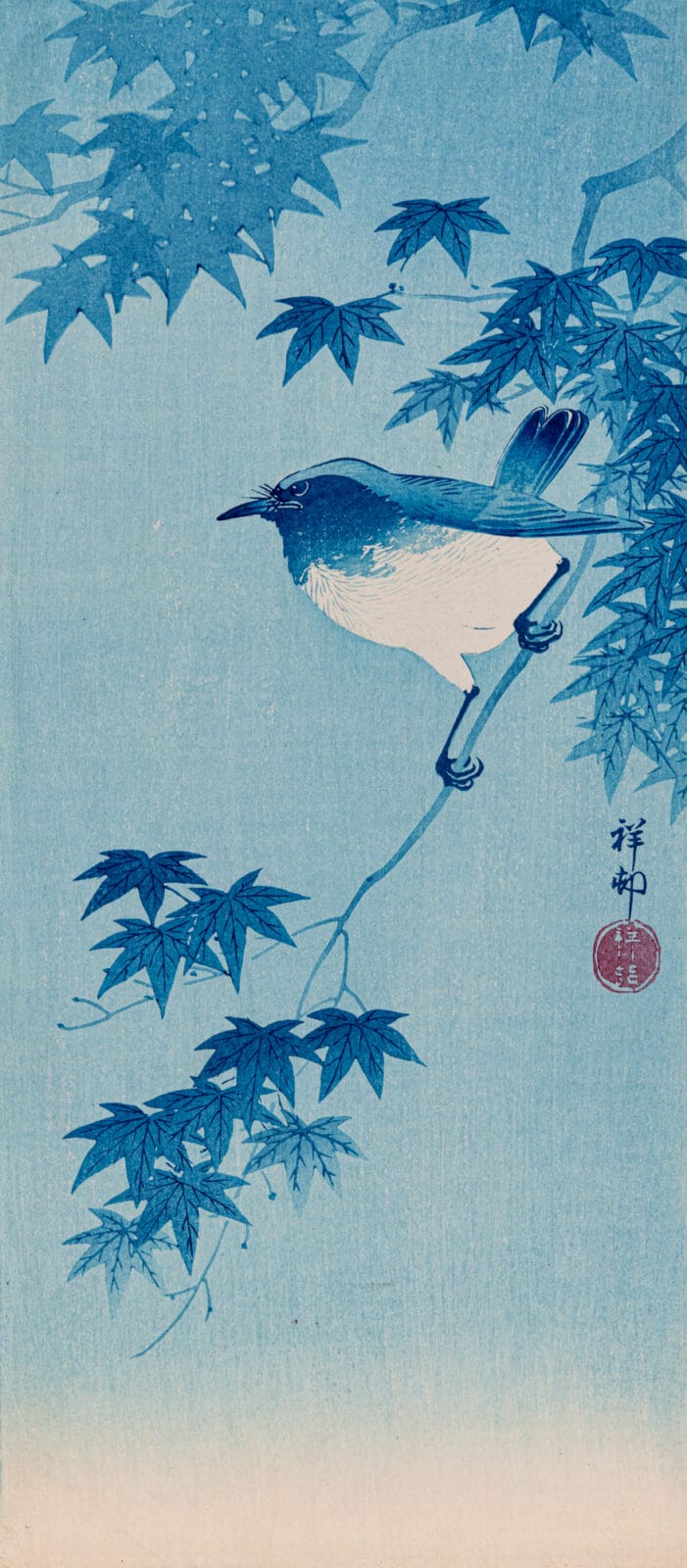 Blue Robin on a Maple Branch. Artist: Ohara Koson. Medium: woodblock.