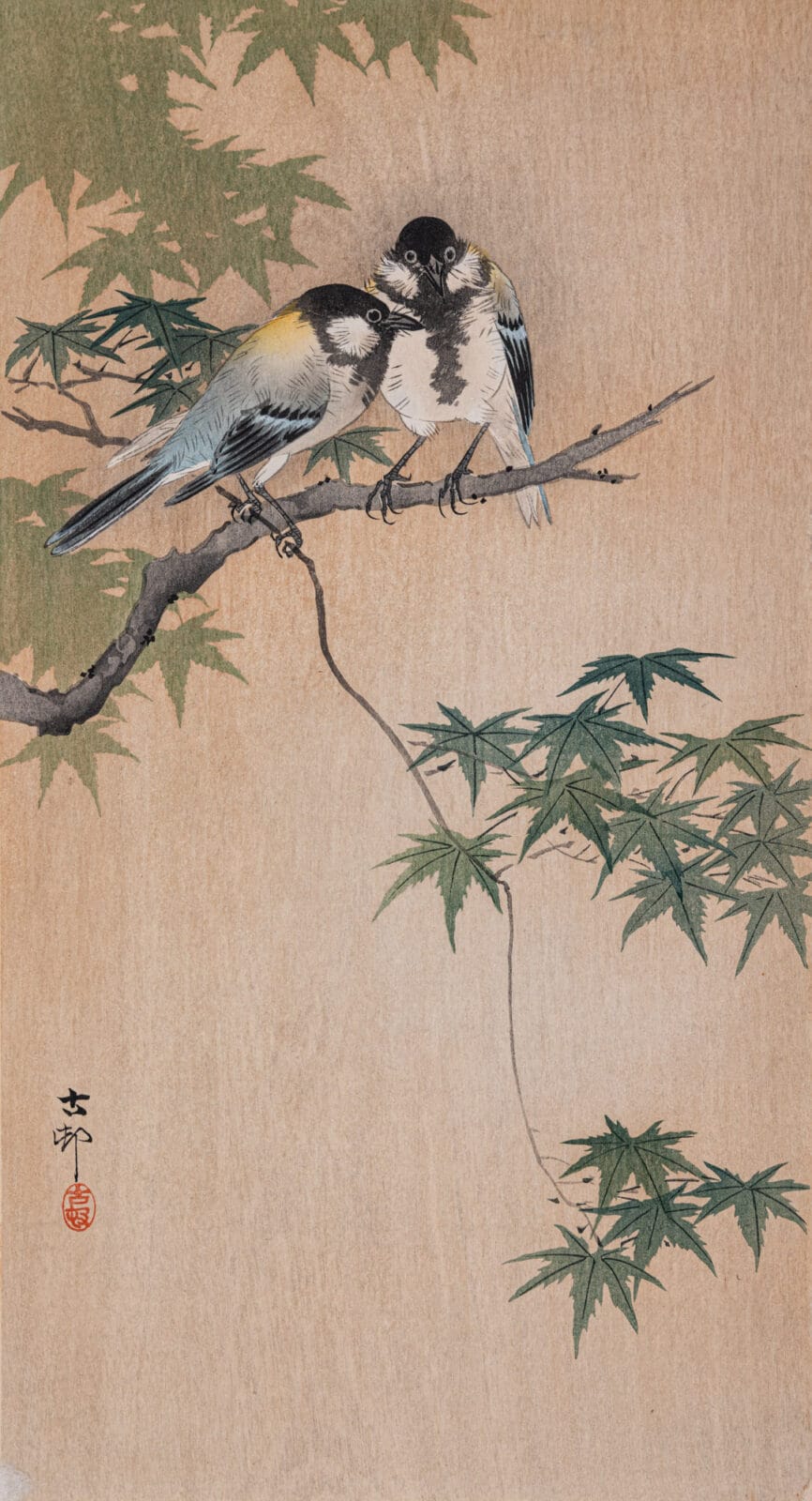 Tits on Maple. Artist: Ohara Koson. Medium: woodblock.